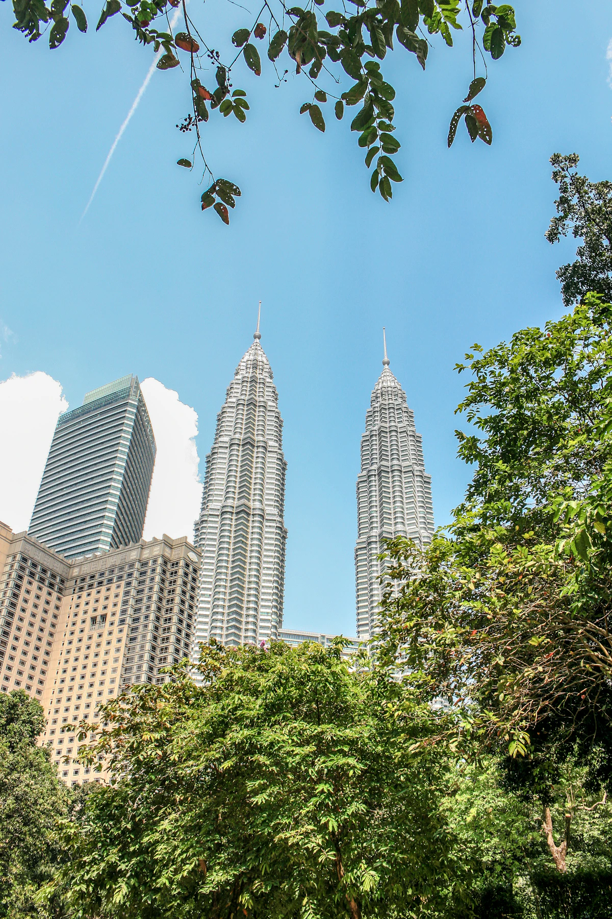 Looking up at the Petronas Twin Towers through tropical tree branches