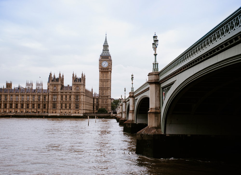 white and brown concrete bridge