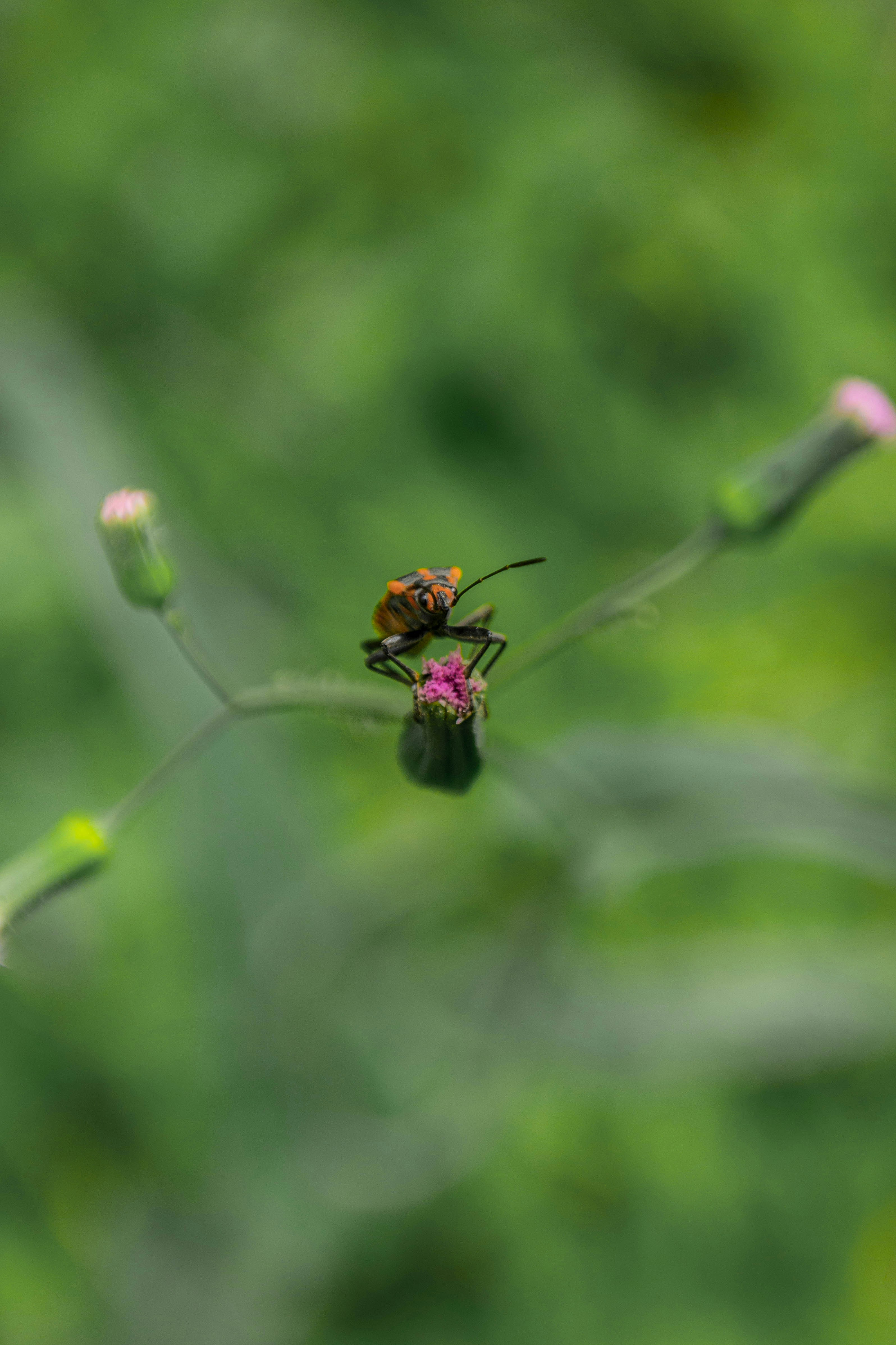 Photo by riolec