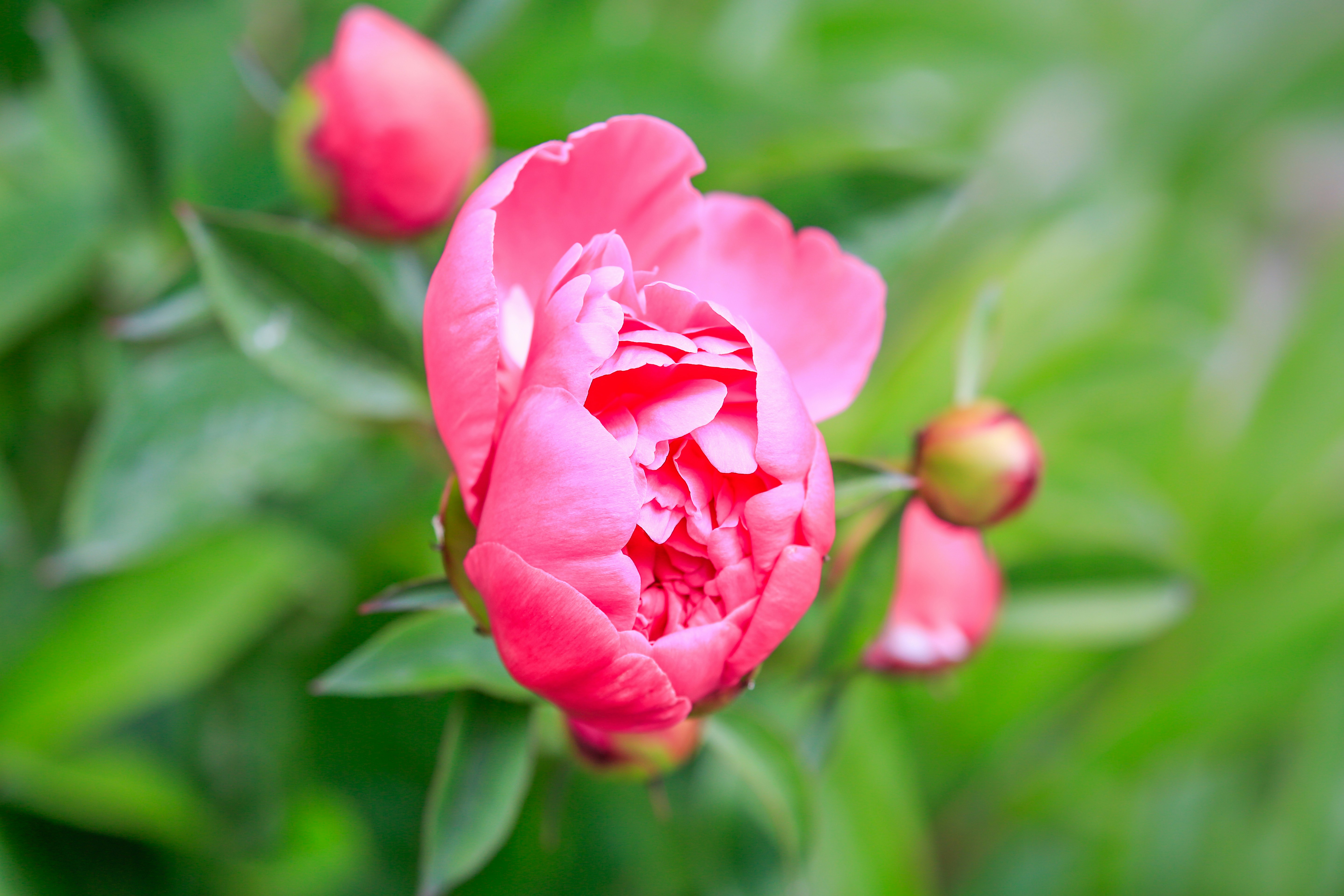 Photo by alightproduction_by_sabrinawendl