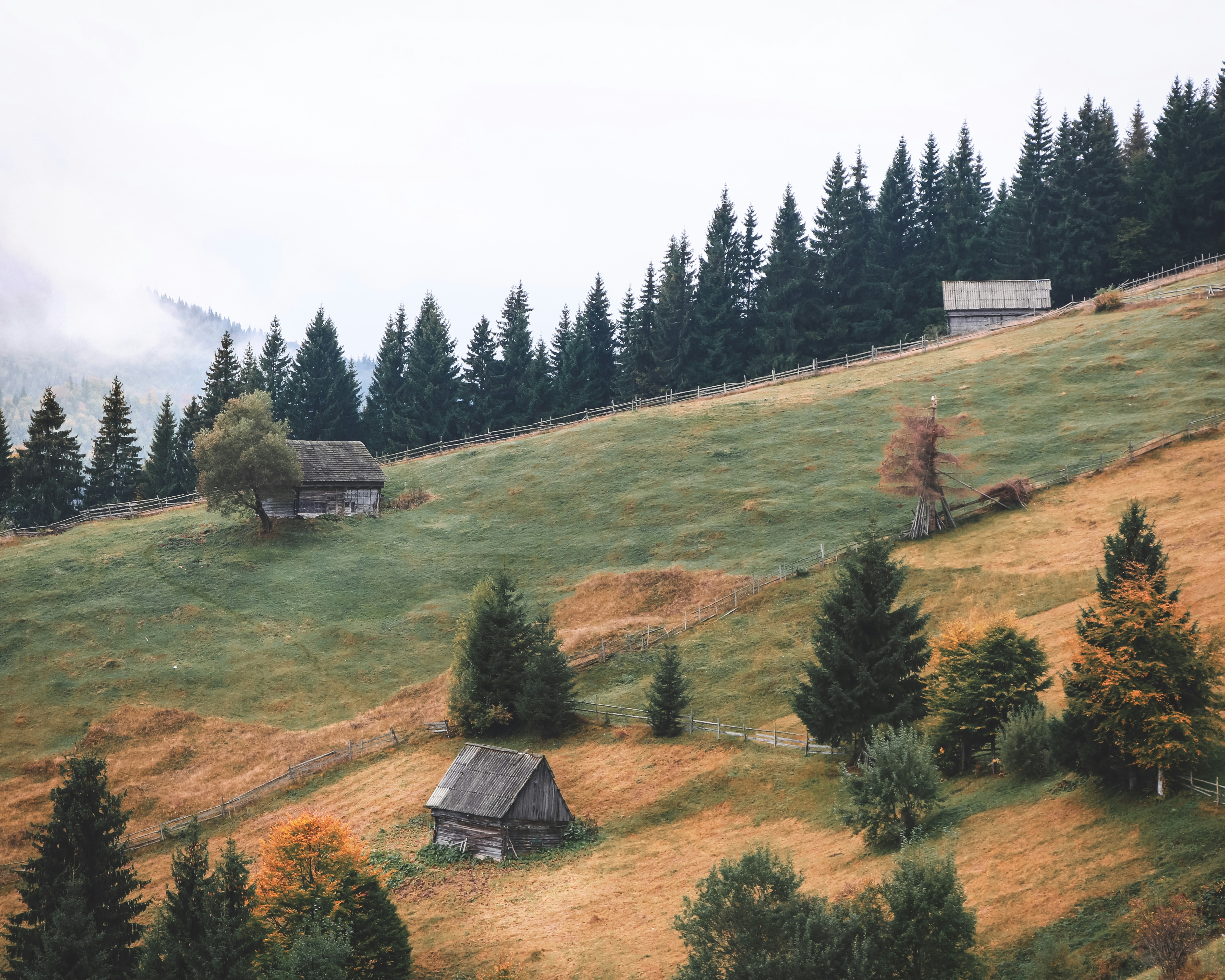 Photo by emilia_morariu