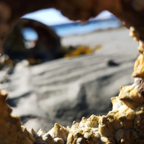 A close-up of Barnacle and Bay clothing showcasing ocean-themed designs.