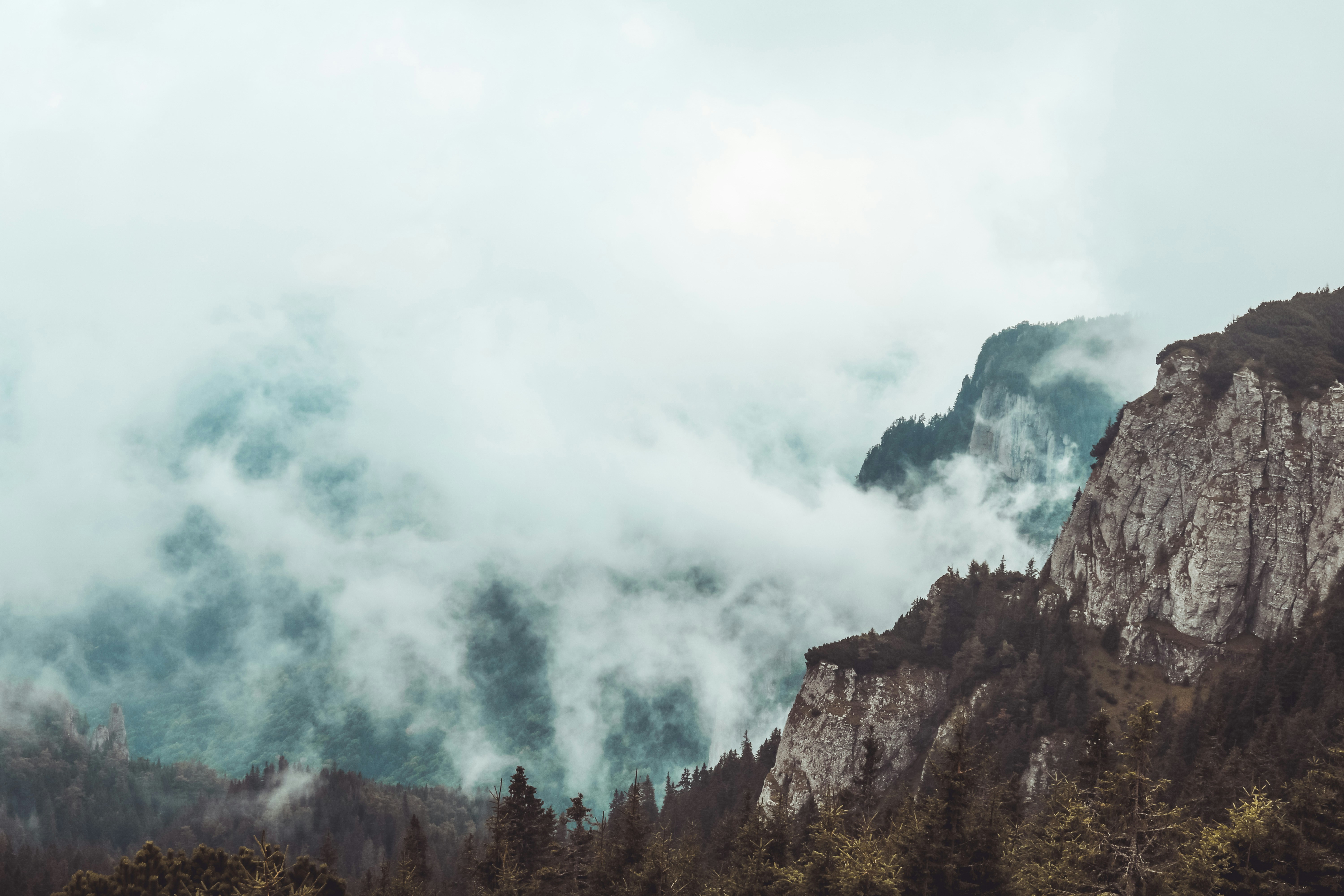 Photo by emilia_morariu