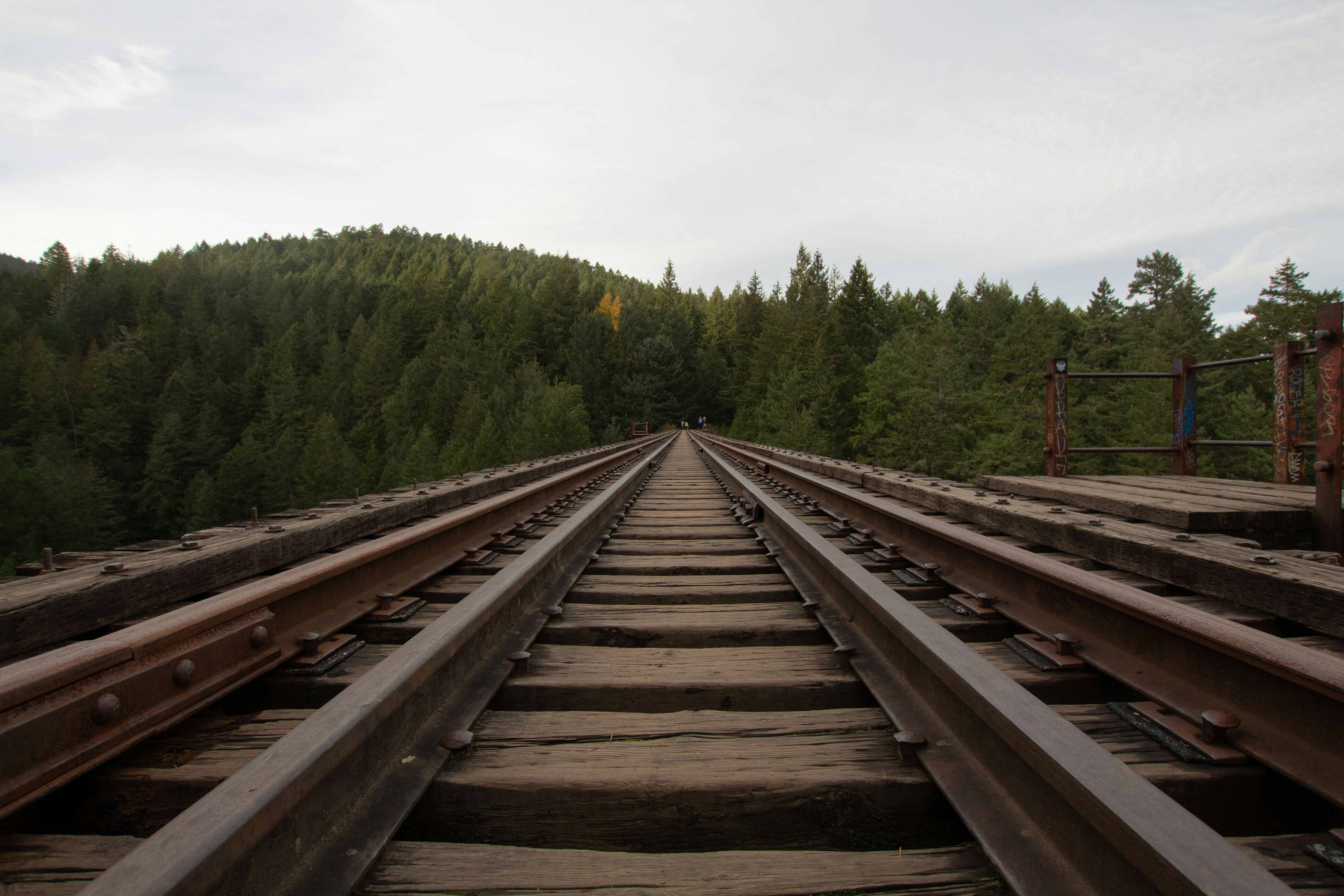 Photo by petrykowskim