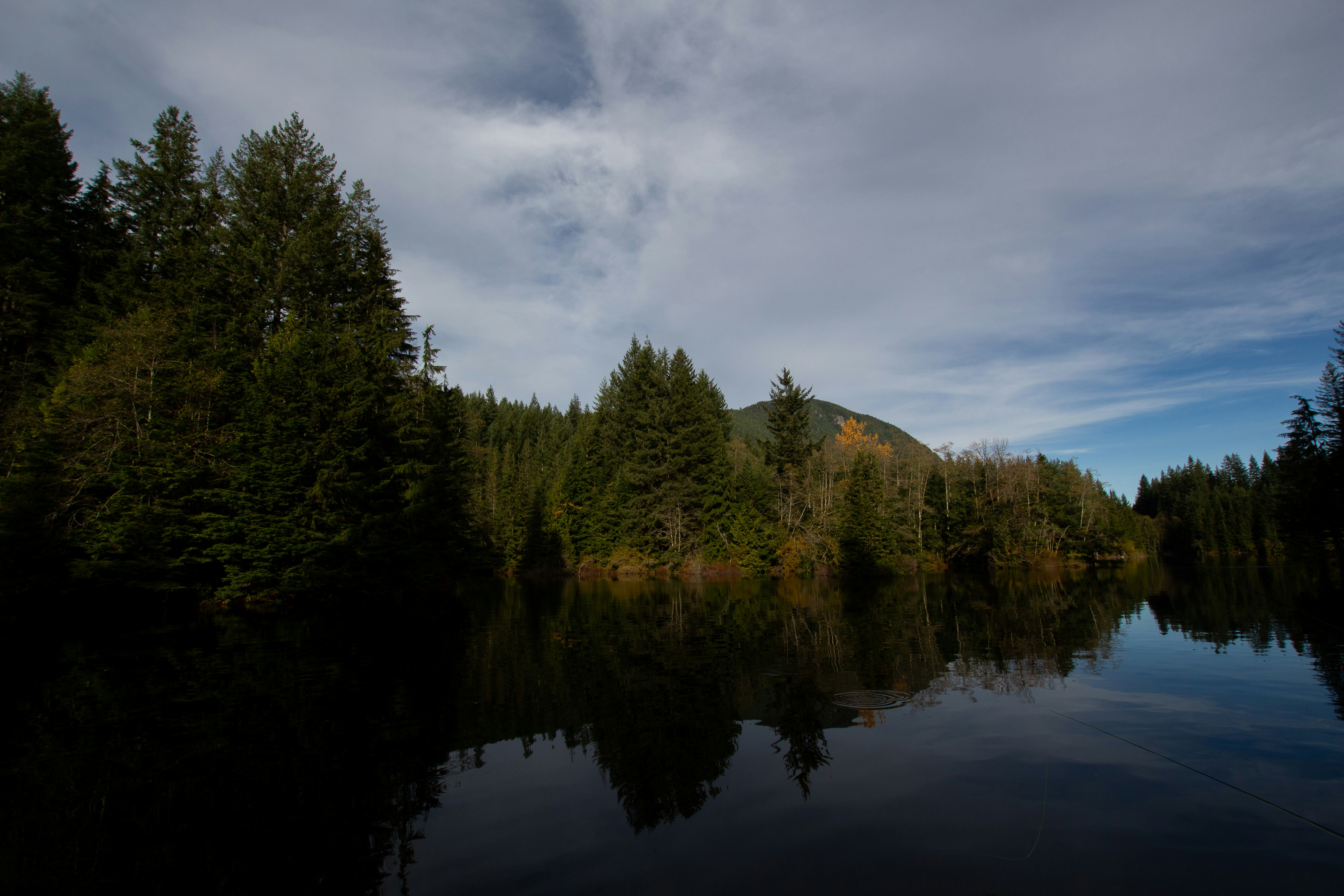 Photo by petrykowskim