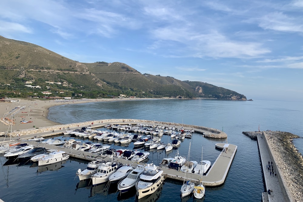 bird's-eye view photo of yachts dock on the harbor