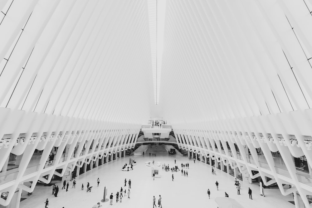 white concrete building