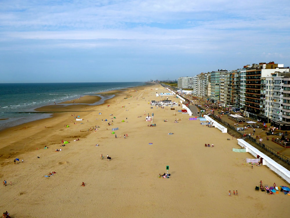 aerial photography persons enjoying on beach