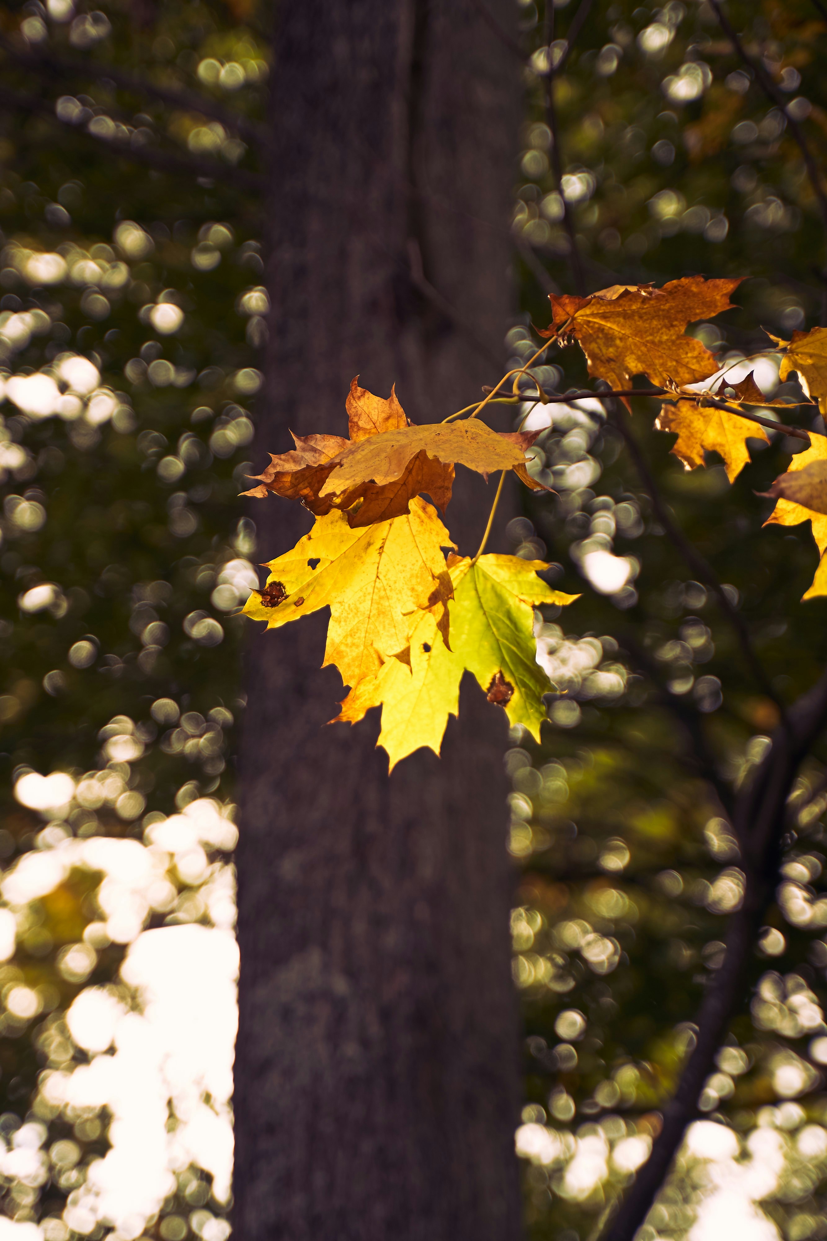 Photo by jhvisuals_de