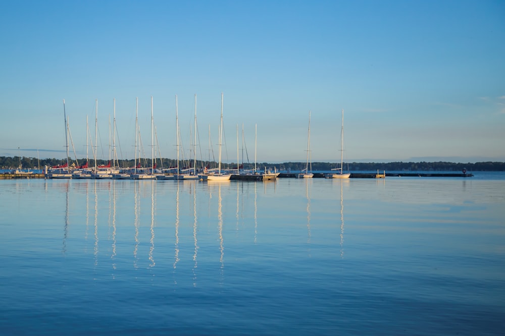 calm water at daytime