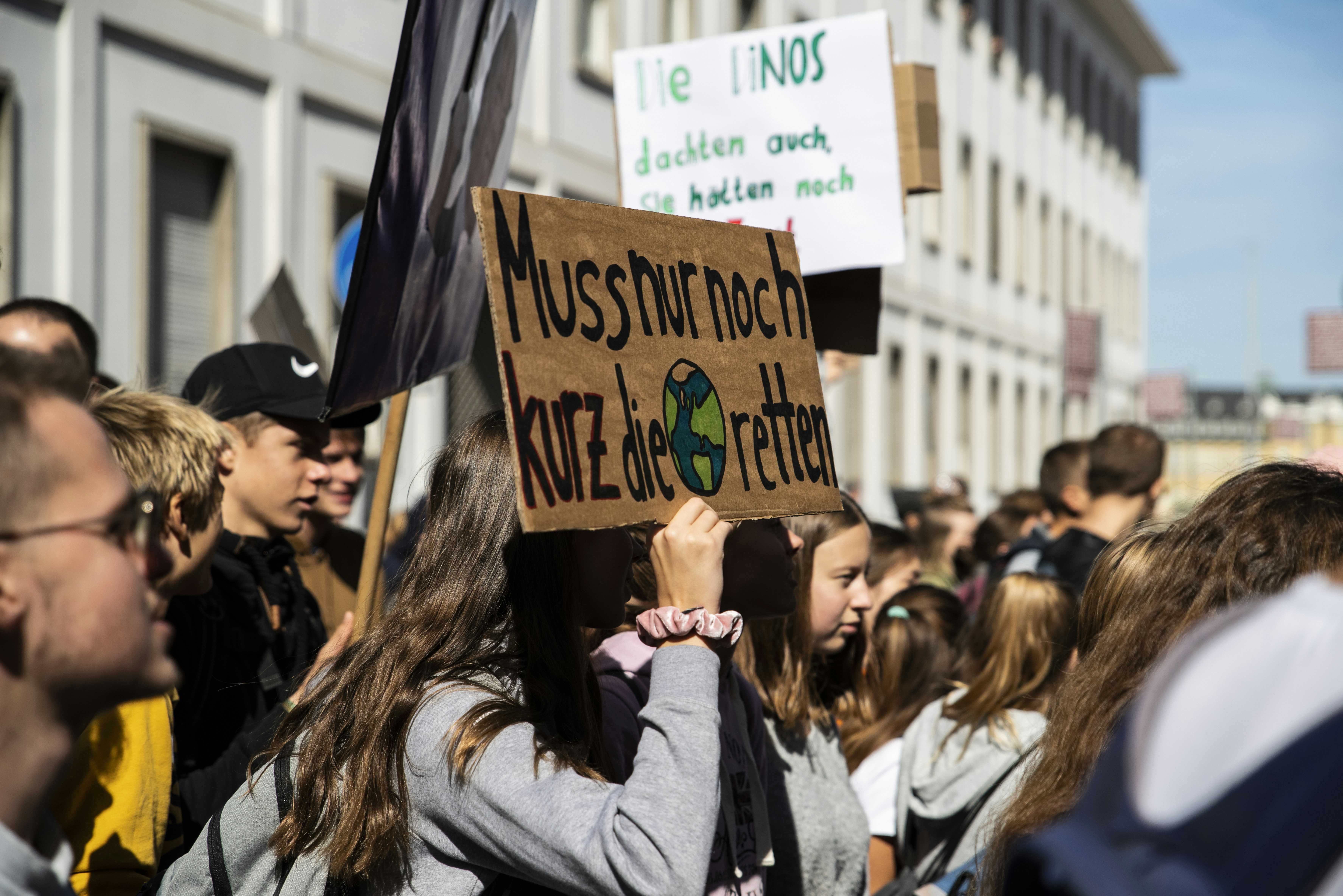 Deforestation And Global Warming: A Deadly Dance