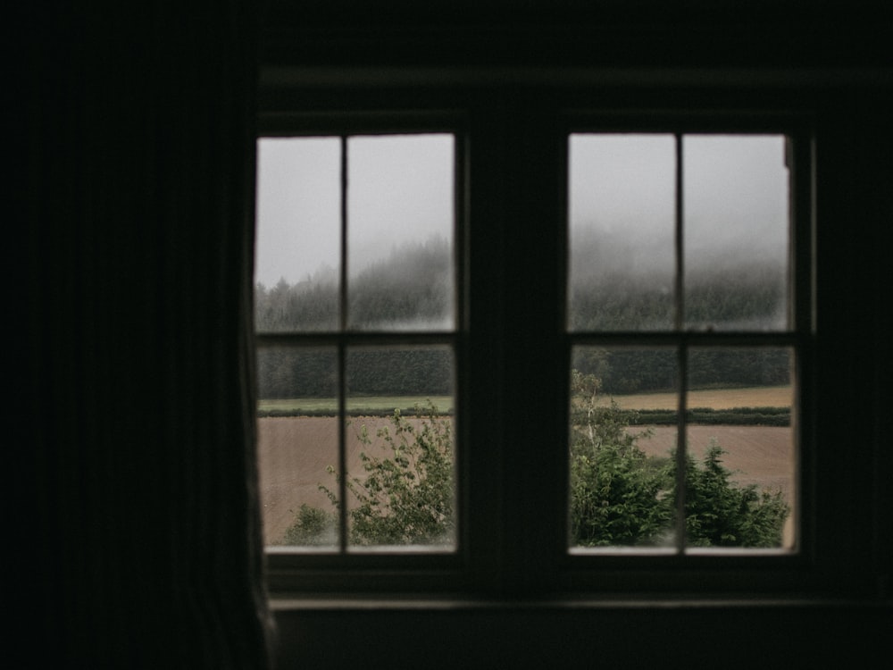 plants behind window