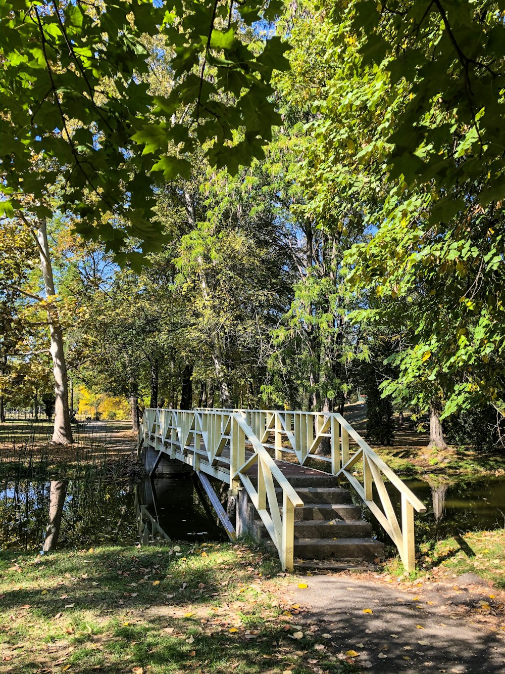 bridge above water near trees during day