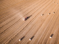 Aerial view of a large, flat agricultural field with a tractor harvesting crops. The field is divided into parallel rows with rectangular hay bales scattered across the landscape. Dust trails behind the moving tractor, highlighting the dry conditions.