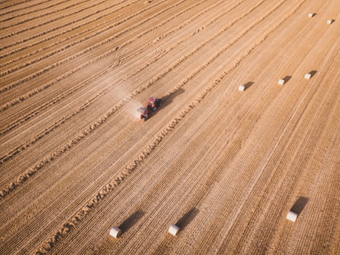 Aerial view of a large, flat agricultural field with a tractor harvesting crops. The field is divided into parallel rows with rectangular hay bales scattered across the landscape. Dust trails behind the moving tractor, highlighting the dry conditions.