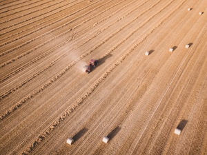 Aerial view of a large, flat agricultural field with a tractor harvesting crops. The field is divided into parallel rows with rectangular hay bales scattered across the landscape. Dust trails behind the moving tractor, highlighting the dry conditions.
