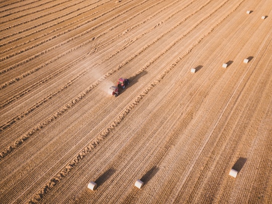 Aerial view of a large, flat agricultural field with a tractor harvesting crops. The field is divided into parallel rows with rectangular hay bales scattered across the landscape. Dust trails behind the moving tractor, highlighting the dry conditions.