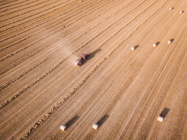 Aerial view of a large, flat agricultural field with a tractor harvesting crops. The field is divided into parallel rows with rectangular hay bales scattered across the landscape. Dust trails behind the moving tractor, highlighting the dry conditions.