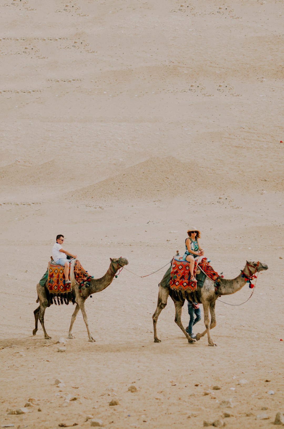 man and woman riding on camels