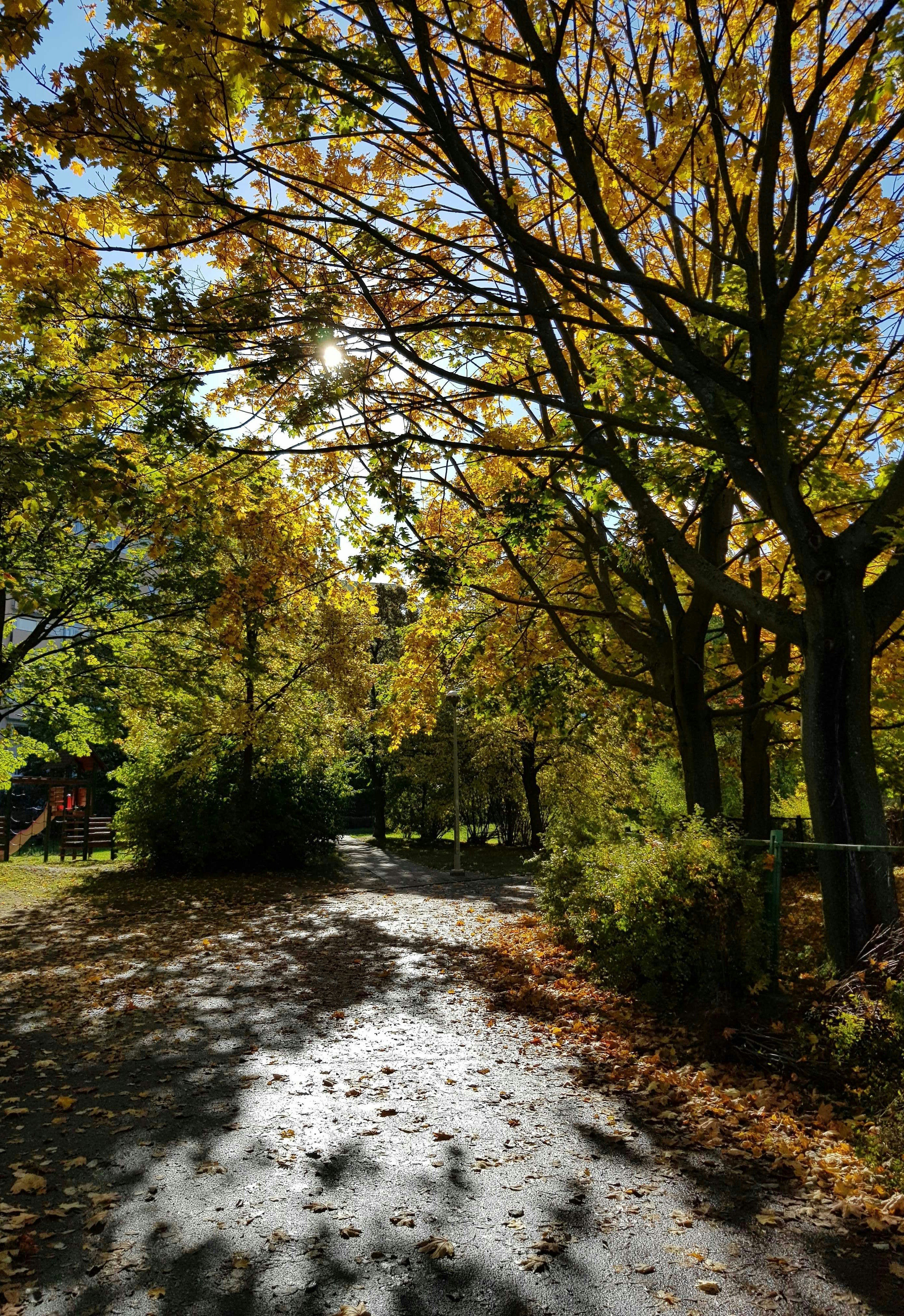 Photo by joannaderks