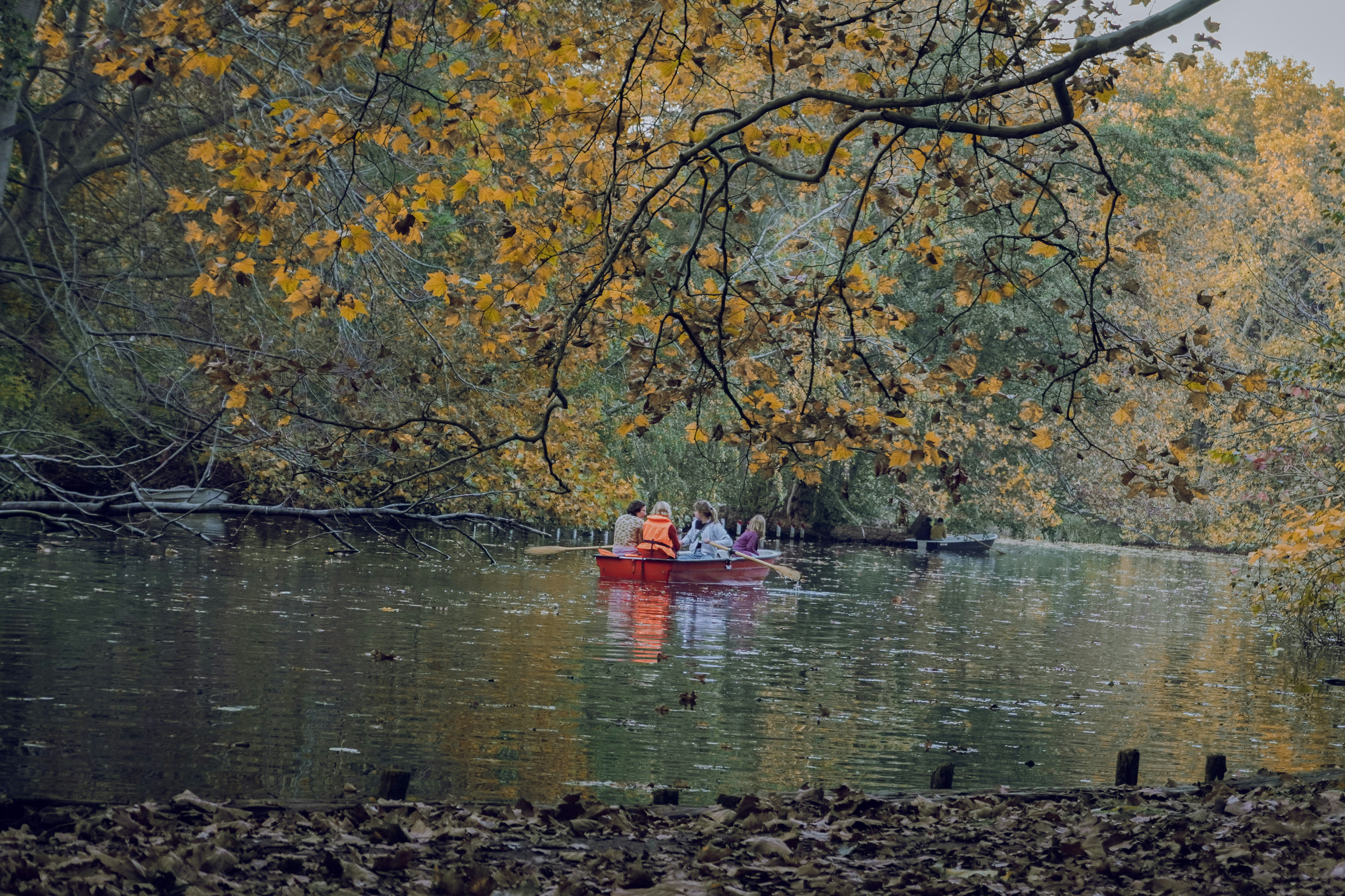 Photo by fidelisclayton