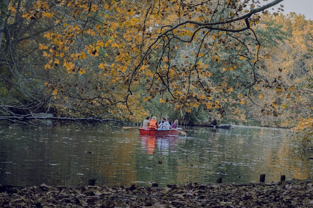 people riding boat floating on body of water near trees during day