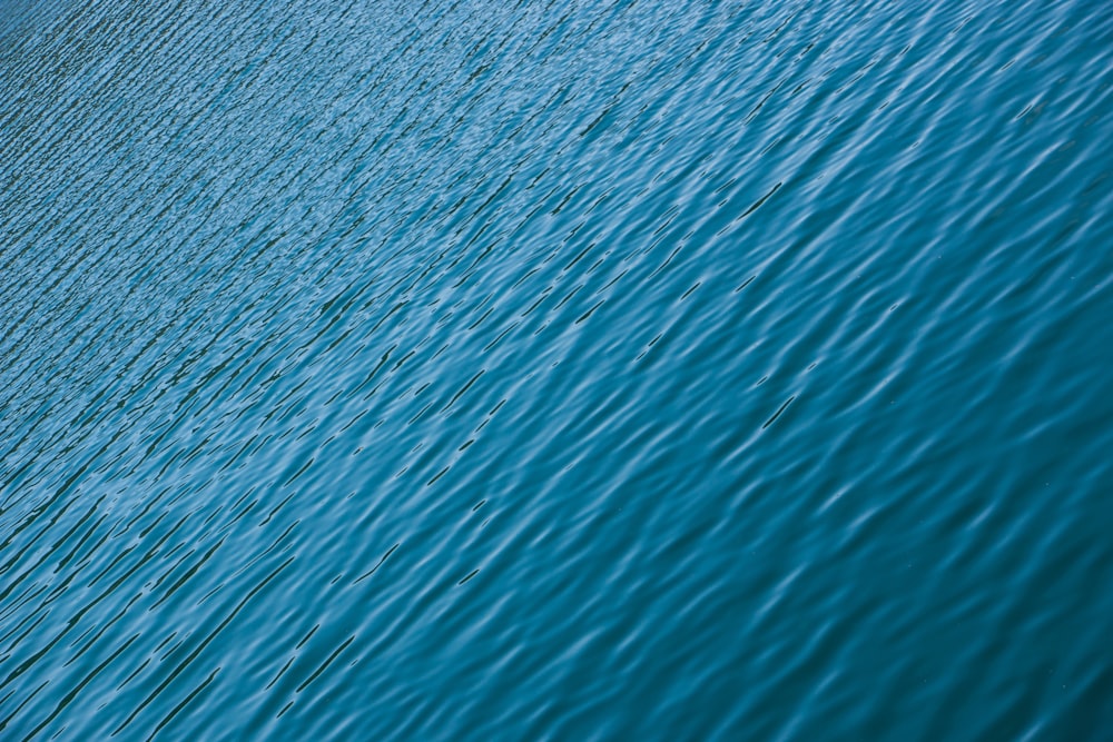 a large body of water with a boat in it