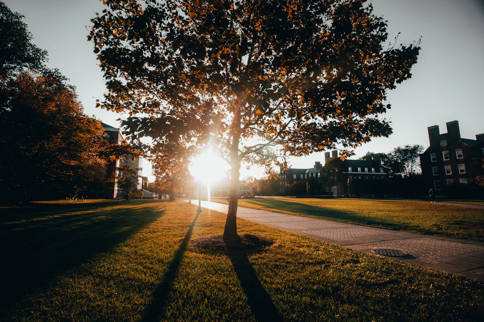 Serene autumn scene at college with large tree and vibrant orange leaves against blue sky