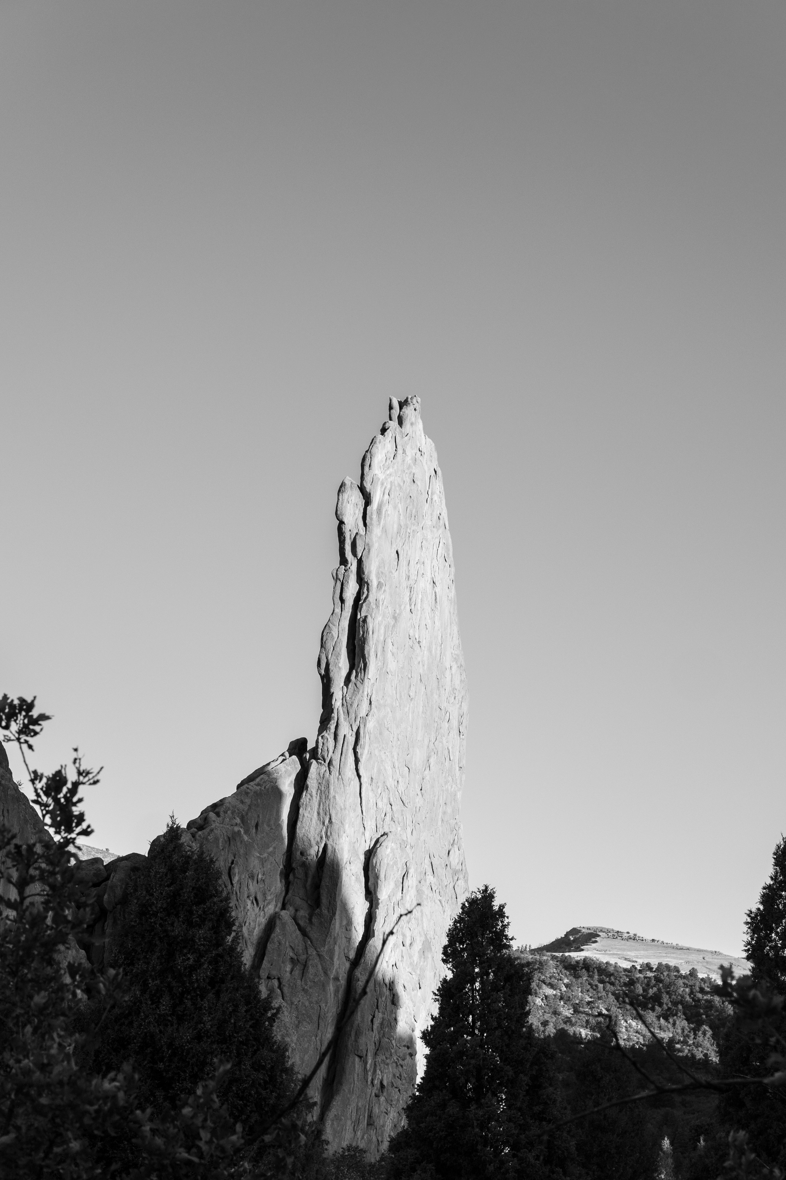 Photo by bitter_fruitt