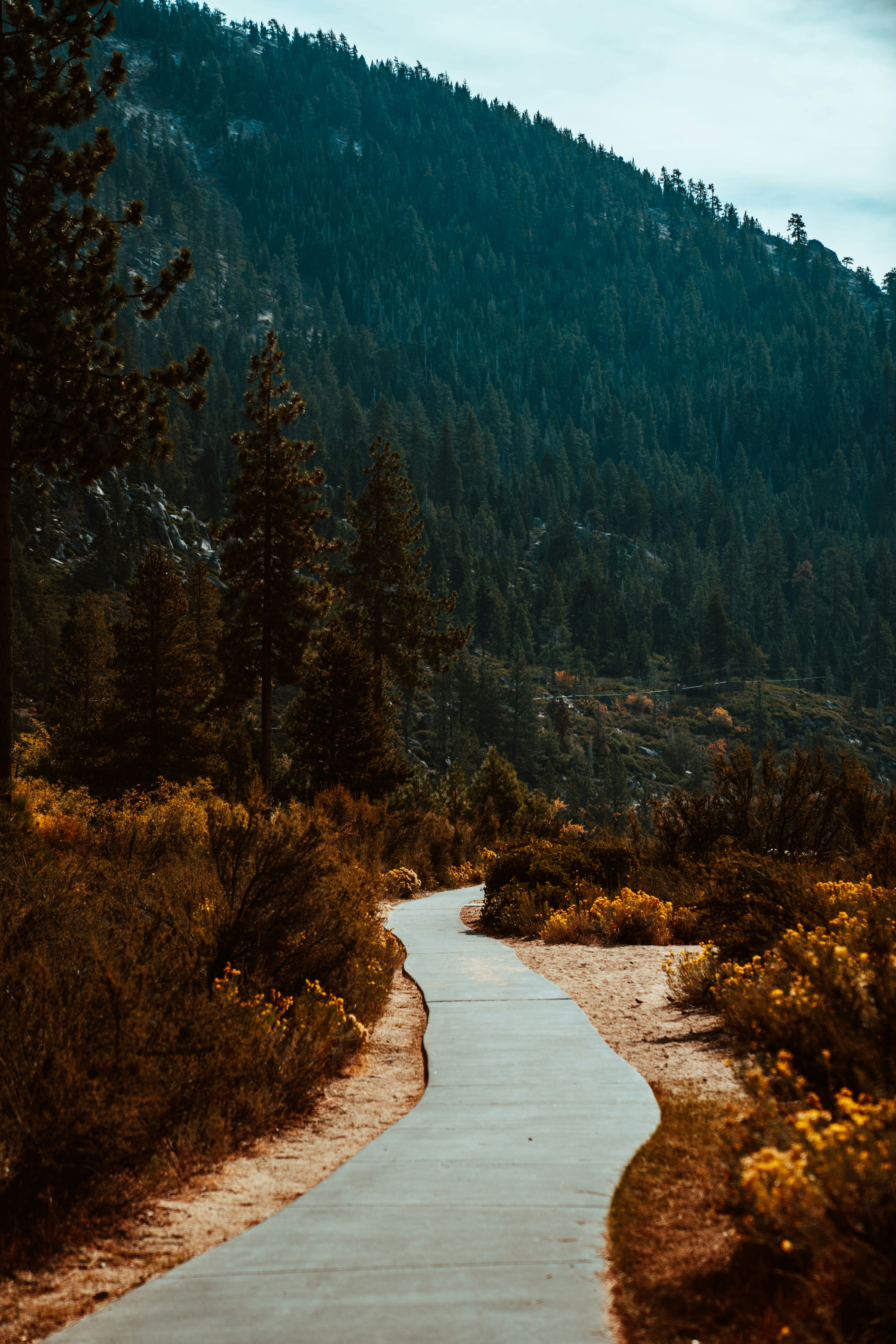 Photo by merittthomas