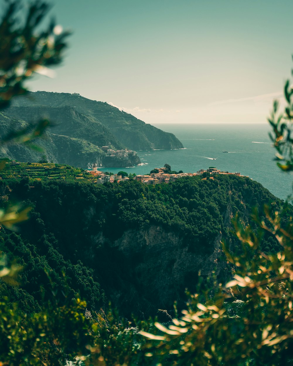 alberi a foglia verde e specchio d'acqua