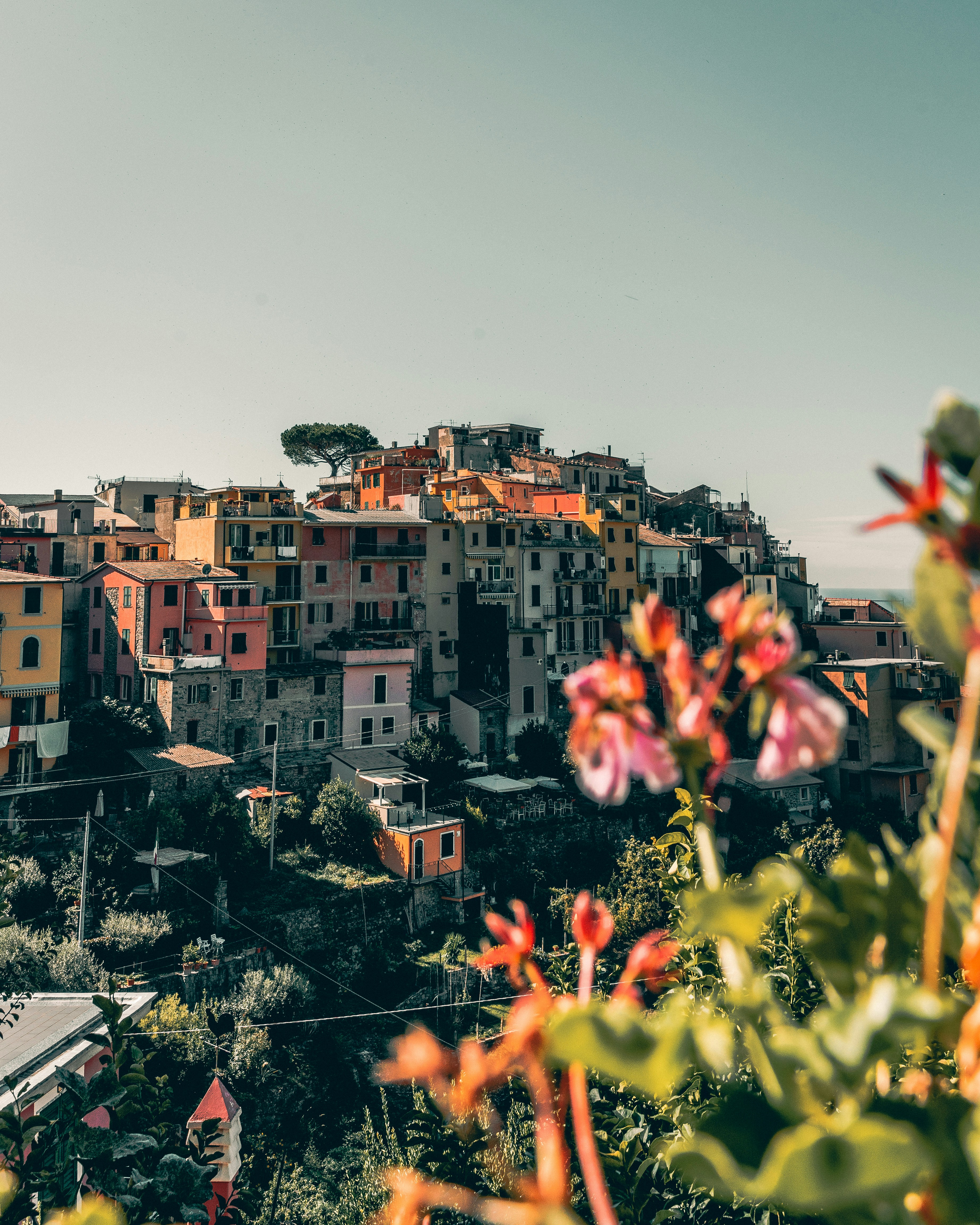 Photo by simonedaino95