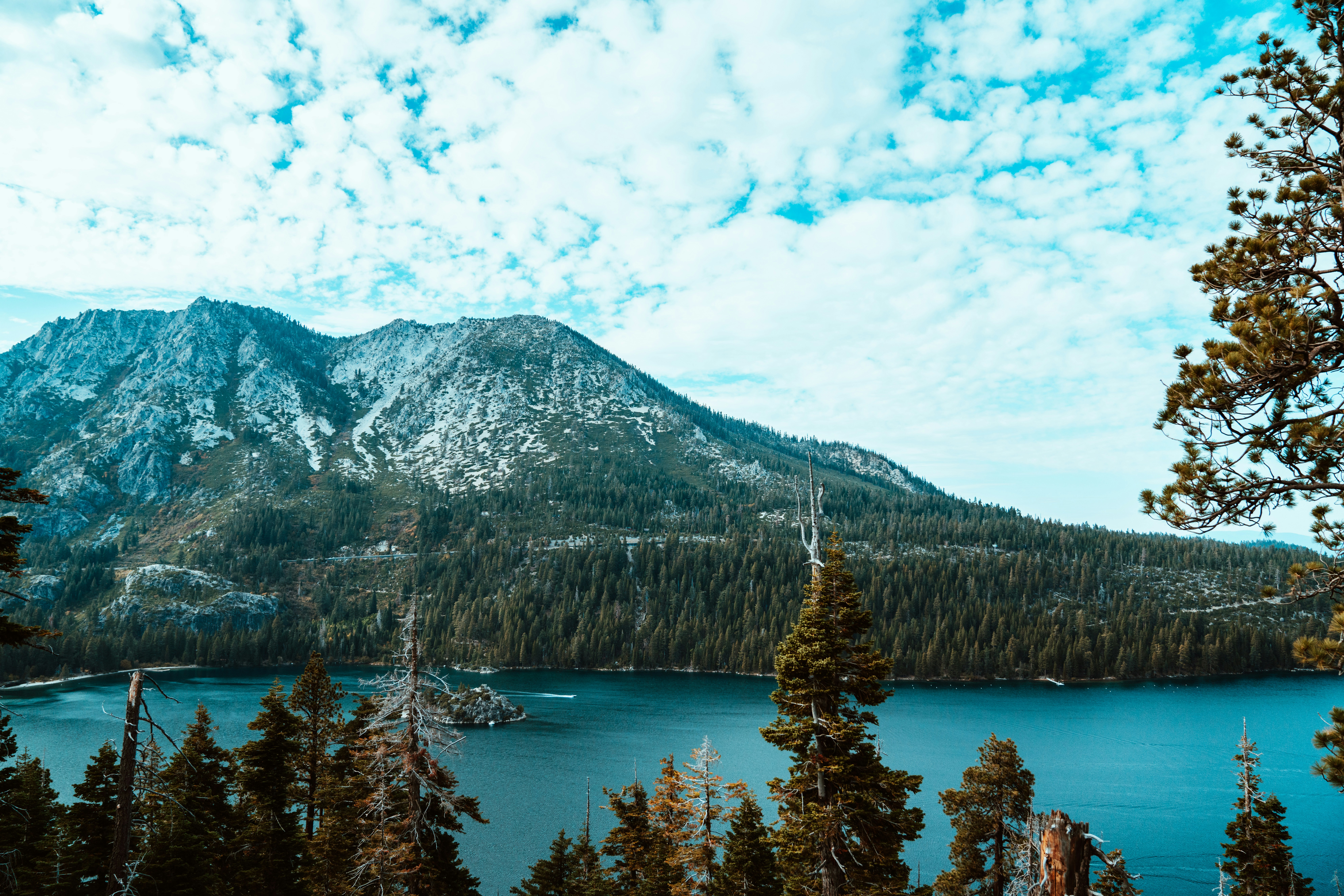 Photo by merittthomas
