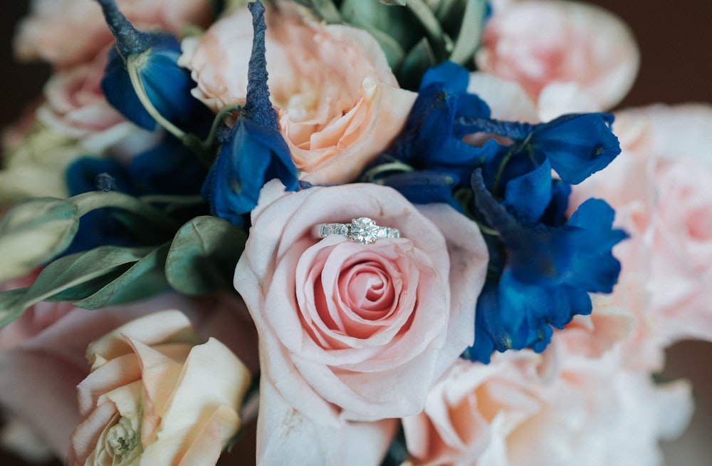 blue and pink flowers