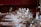 A beautifully set dining table with neatly arranged white napkins tied with beige ribbons. The table is adorned with sparkling glassware including wine glasses, suggesting a formal dining setting. Soft lighting enhances the elegant atmosphere.