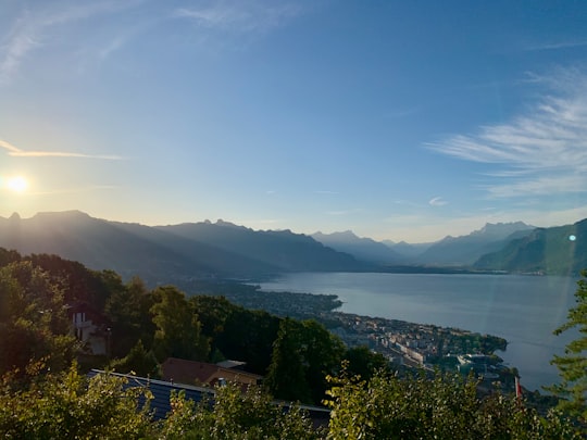 house and trees near body of water in Vevey Switzerland