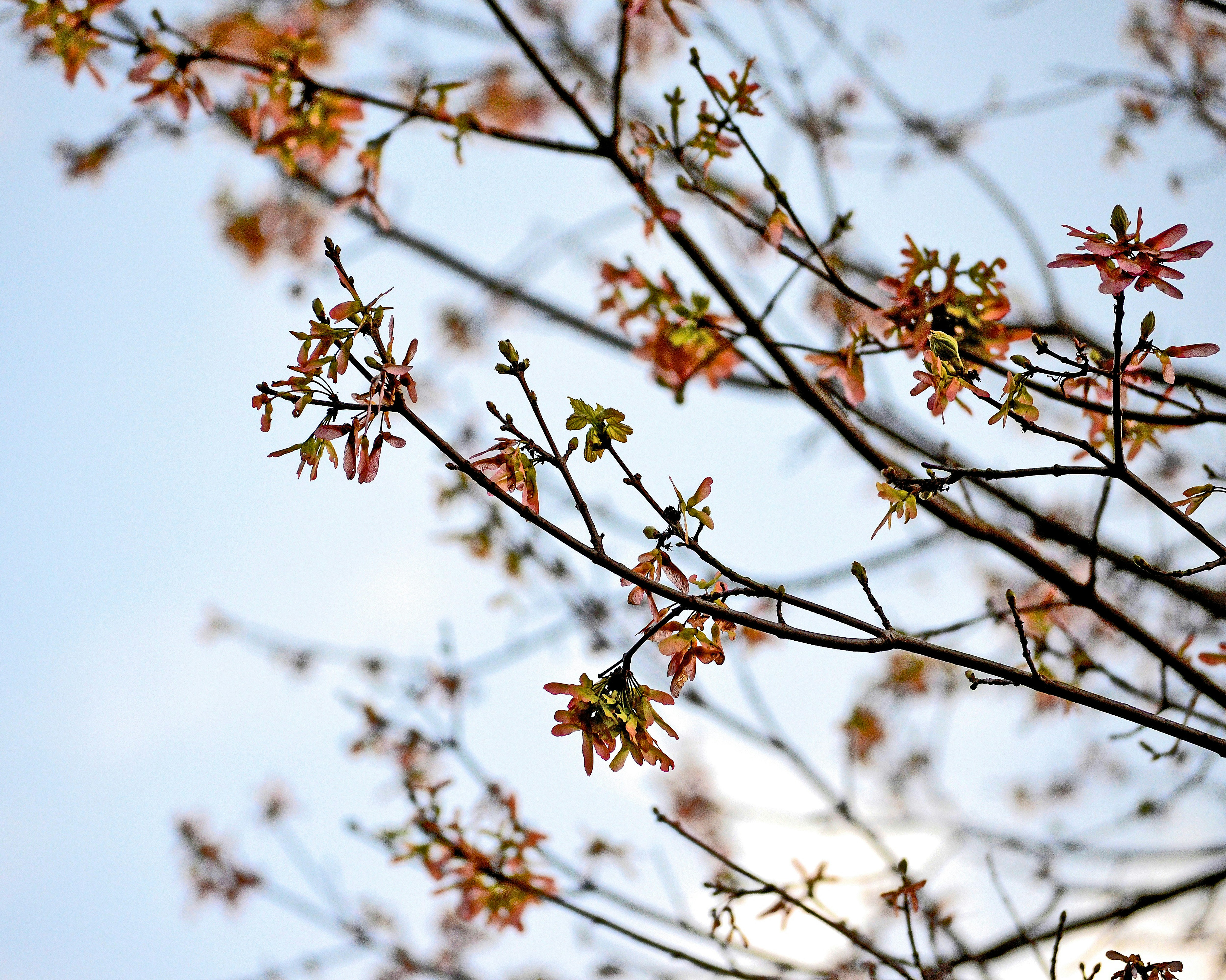 Photo by hudsoncrafted