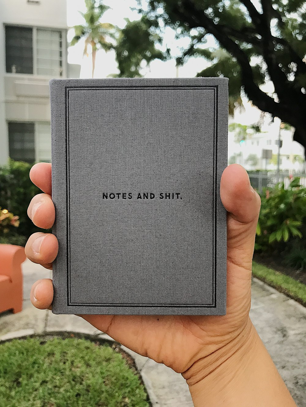 Notes and Shit book