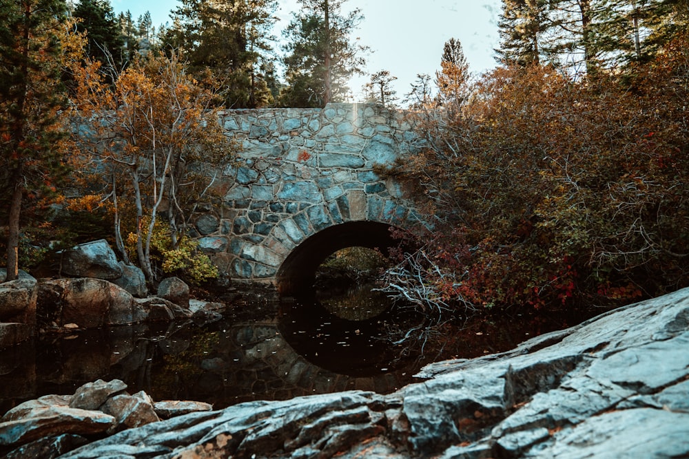 calm body of water by bridge during daytime