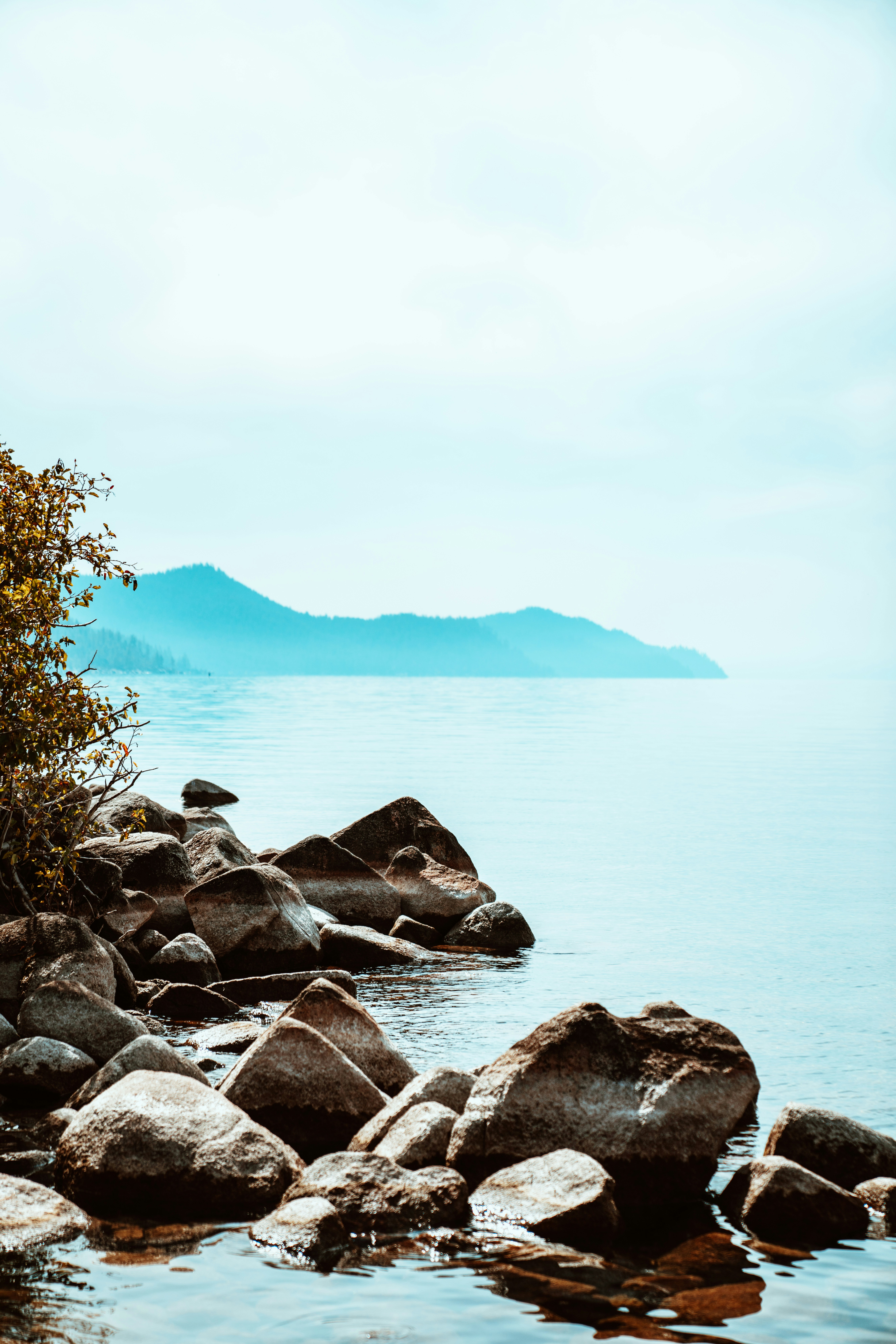 Photo by merittthomas