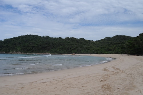 A serene and deserted beach with clean, light sand curves around a gently lapping bay. The water is a blend of green and blue hues, bordered by a dense forest of lush, verdant hills. The sky is partly cloudy with scattered white clouds adding depth to the scene.