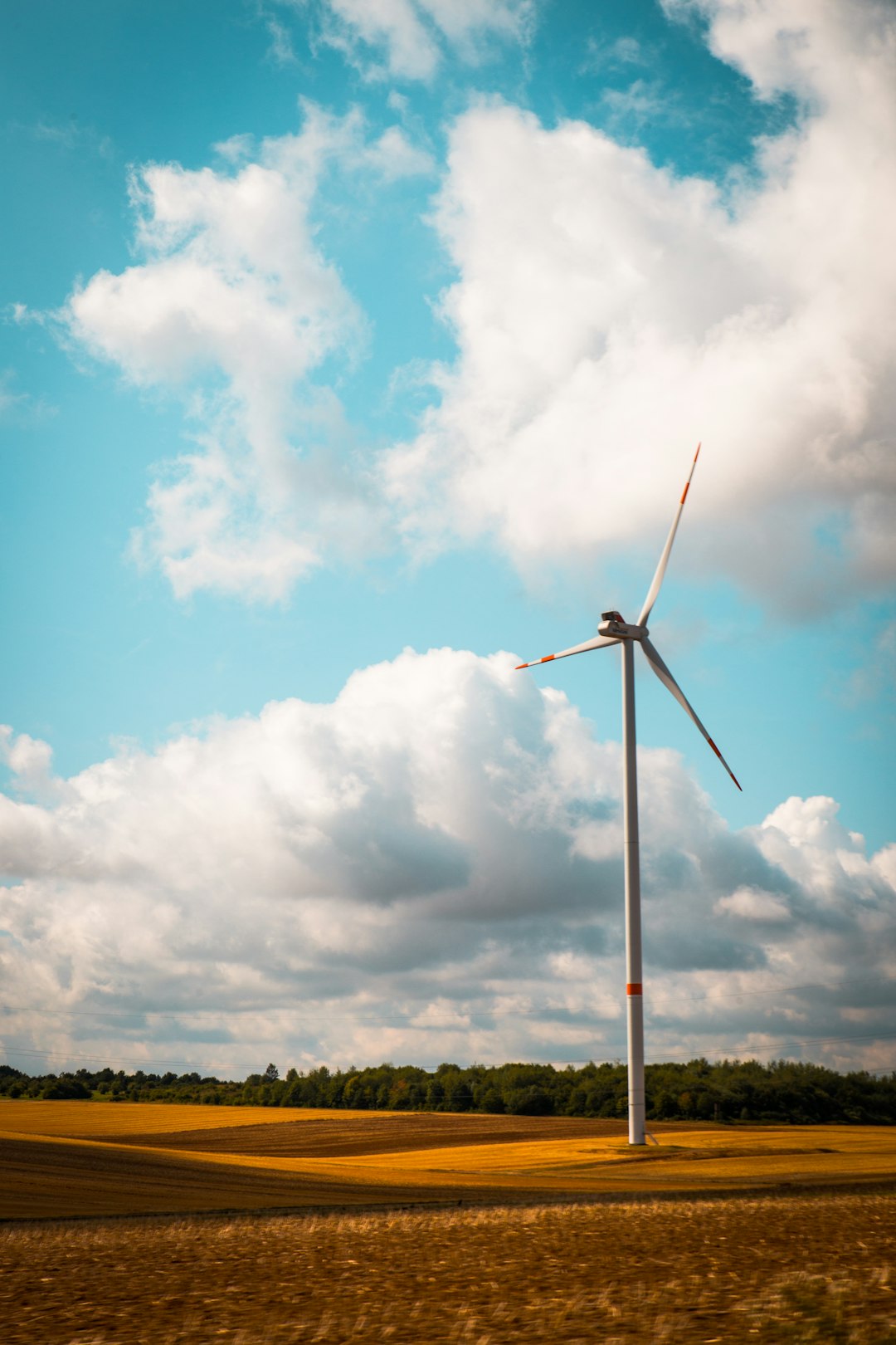 white windmill photo