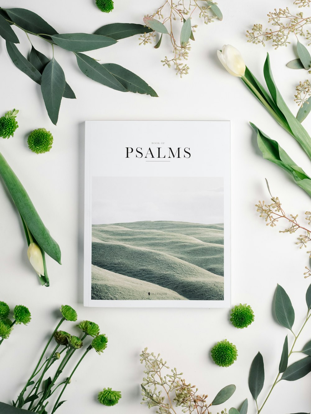 Psalms book