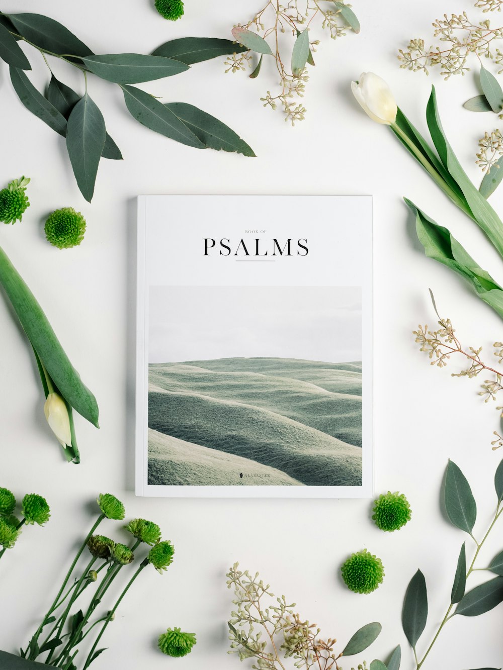 Buch der Psalmen