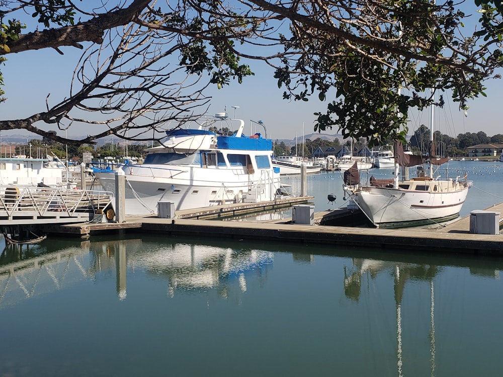 white boat beside dock