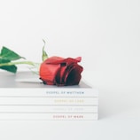 A single red rose rests elegantly on a neat stack of books titled with the Gospels of Matthew, Luke, John, and Mark. The image projects a minimalist and serene aesthetic with a focus on the contrast between the vibrant red of the rose and the neutral colors of the books.