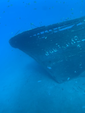 An underwater scene featuring the bow of a sunken ship resting on the ocean floor. The shipwreck is surrounded by clear blue water and has algae and small marine life, such as fish, swimming around it.