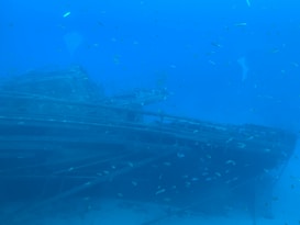 A sunken ship lies on the ocean floor, surrounded by various small fish swimming in the clear blue water. The shipwreck displays rusted metal and decayed structures, indicating it has been submerged for a significant time. The underwater scene exudes a sense of mystery and quiet solitude.