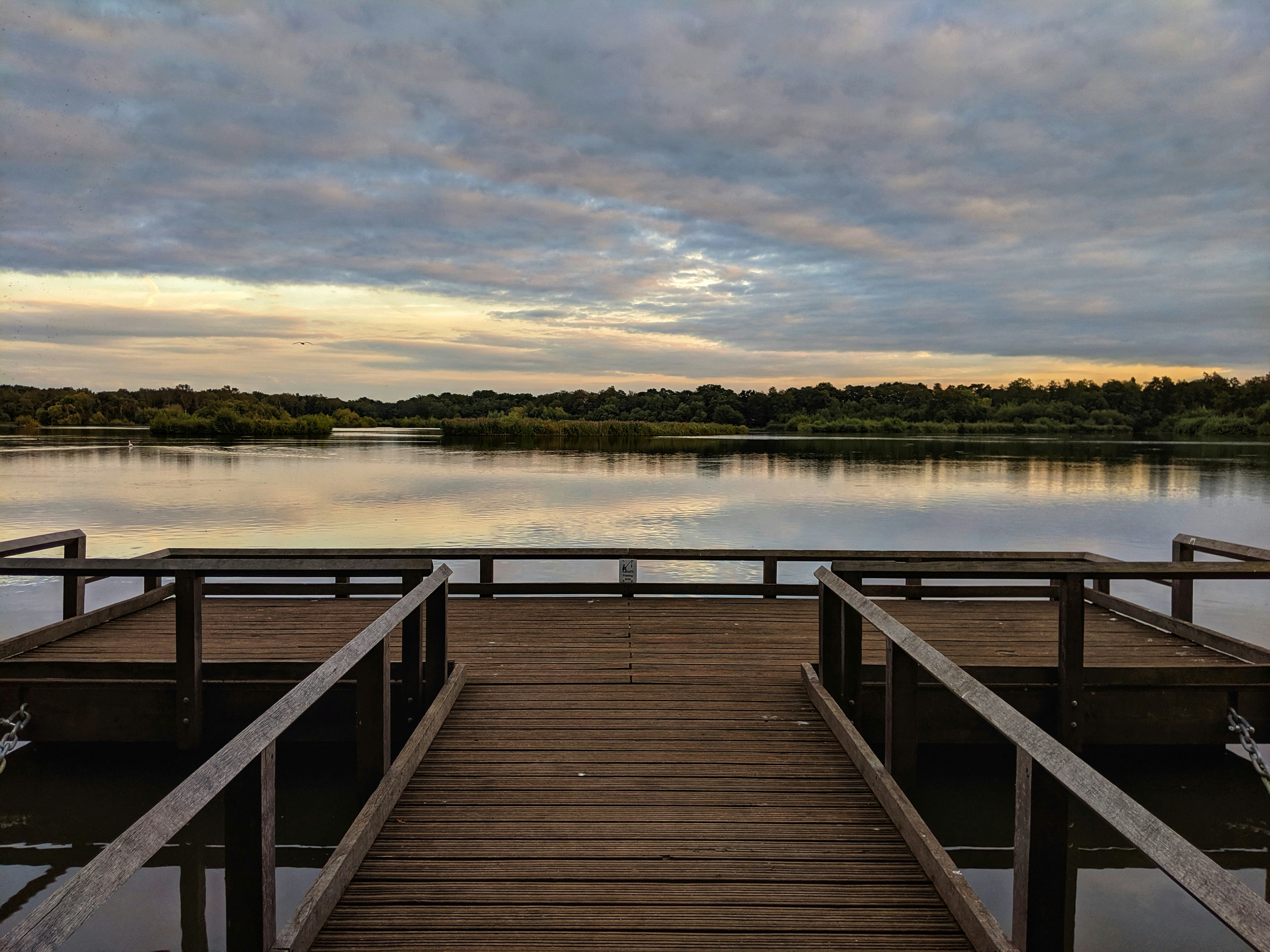 brown wooden bridge