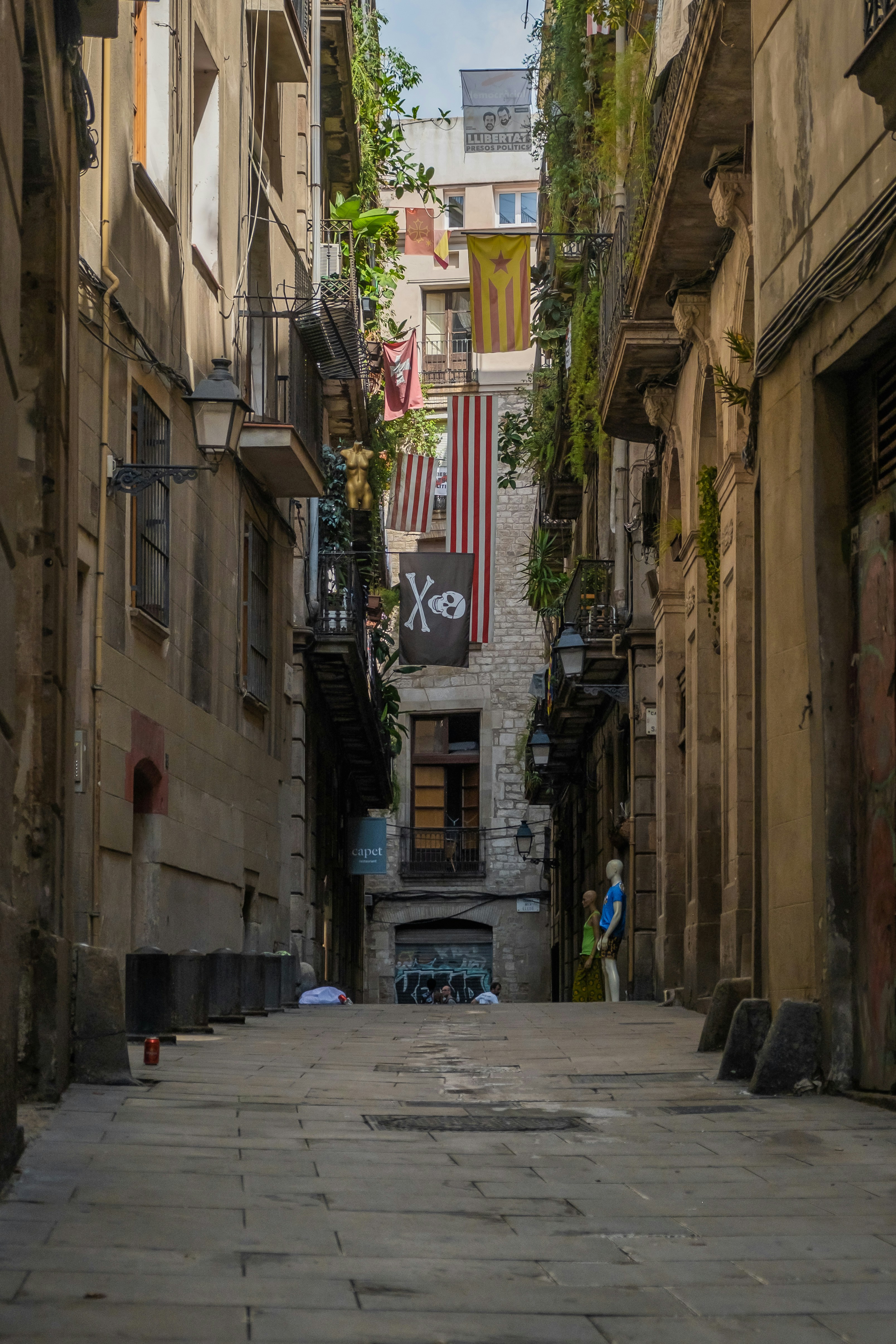 Photo by bobvanaubel